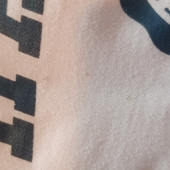 🌺Champion Pink Hoodie - Picture 11 of 12